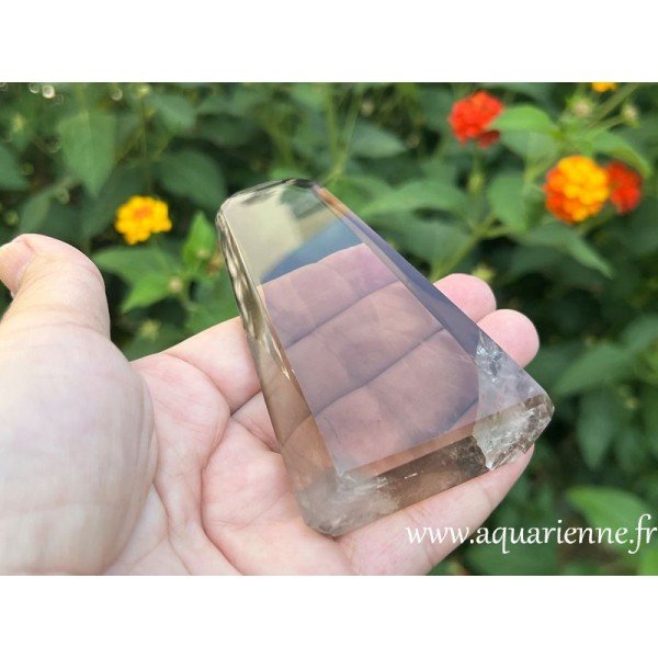 Neutralisez les énergies négatives et expérimentez la puissante protection de cette pointe de quartz fumé dès maintenant.
