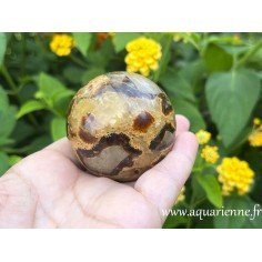 Septaria de Madagascar, sphère de 55 mm pesant 249g. Aide à dissoudre les carapaces émotionnelles du passé en toute sécurité.