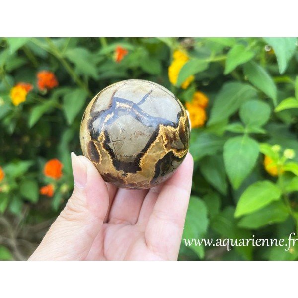 Sphère Septaria de Madagascar. Une pierre pour ceux qui portent une carapace émotionnelle, pour les hypersensibles.