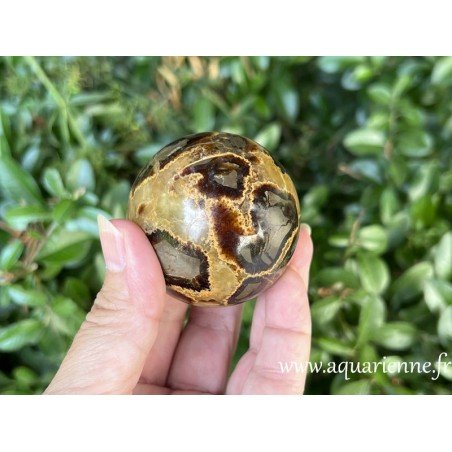 Septaria de Madagascar, sphère de 55 mm pesant 249g. Aide à dissoudre les carapaces émotionnelles du passé en toute sécurité.