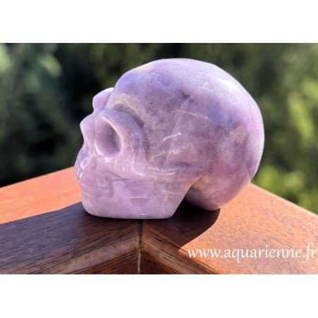 Ce magnifique crâne en lépidolite est sculpté à la main pour vous offrir une expérience énergétique exceptionnelle.
