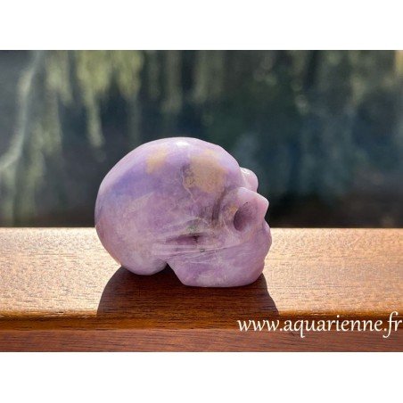 Adoptez ce crâne en lépidolite et découvrez les bienfaits de cette pierre pour votre bien-être physique et émotionnel.