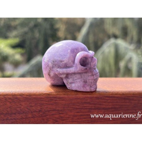 Adoptez ce crâne en lépidolite et découvrez les bienfaits de cette pierre pour votre bien-être physique et émotionnel.