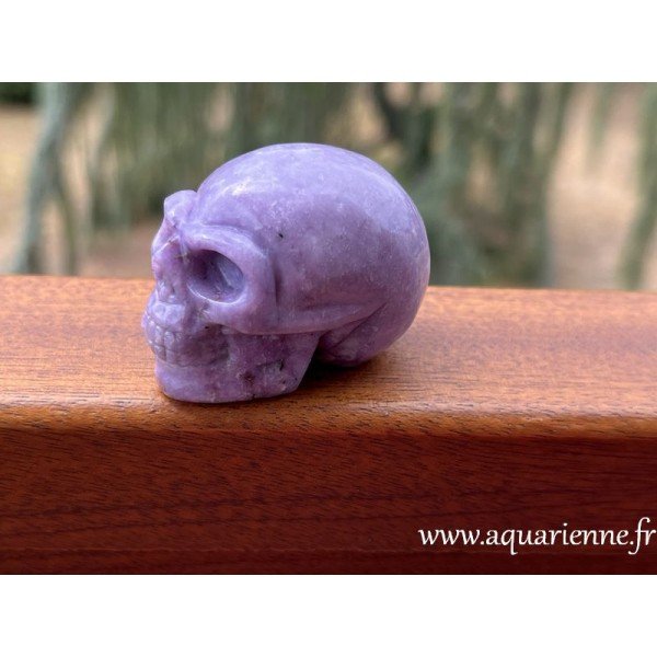 Sérénité sculptée dans la pierre : Rencontrez ce crâne de cristal en Lépidolite. Pièce unique à offrir ou à s'offrir.