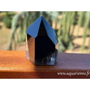 Protégez-vous des énergies discordantes avec ce Quartz Morion de Madagascar, pointe Isis de 6 cm de haut. Pièce unique.