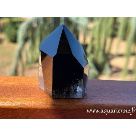 Protégez-vous des énergies discordantes avec ce Quartz Morion de Madagascar, pointe Isis de 6 cm de haut. Pièce unique.