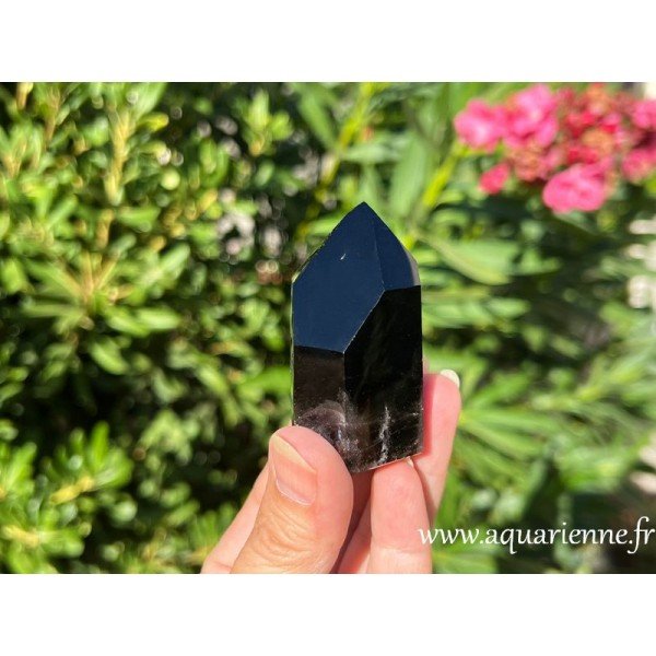 Le Morion, un Quartz fumé profondément sombre, favorisant ancrage, protection, purification énergétique.