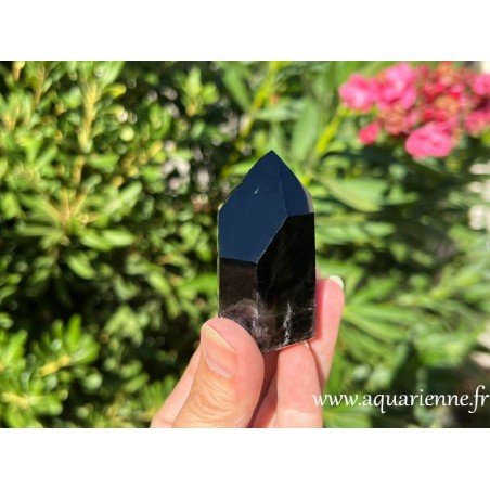 Le Morion, un Quartz fumé profondément sombre, favorisant ancrage, protection, purification énergétique.