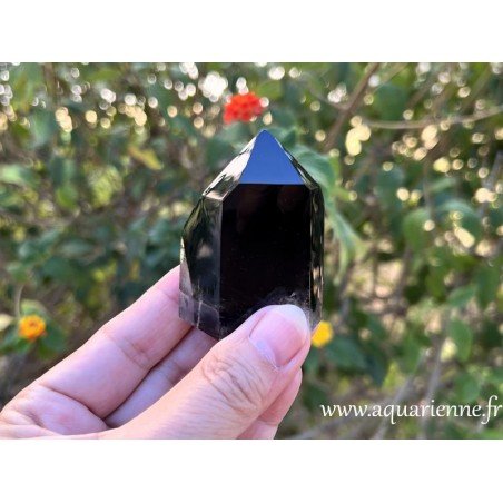 Pointe Isis en Quartz Morion de Madagascar, d'une hauteur de 6 cm et d'un poids de 129 grammes, spécimen unique.