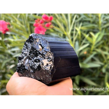 Neutralisez les pollutions électromagnétiques avec cette Tourmaline noire authentique de Madagascar de 1kg.