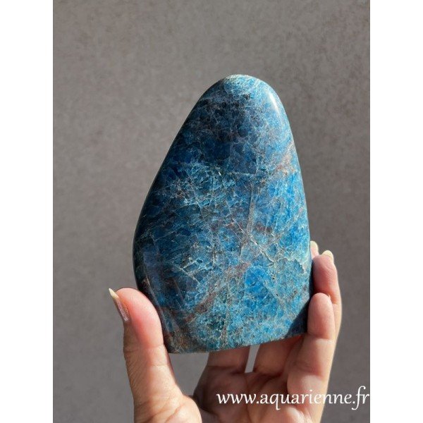 Explorez les nuances bleue uniques de cette Apatite de 13 cm, pierre d'inspiration et de motivation.