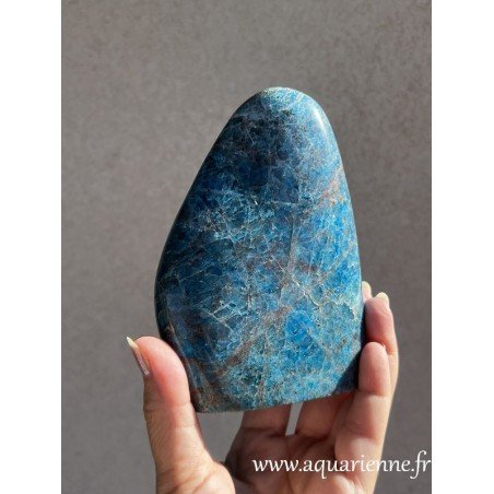 Explorez les nuances bleue uniques de cette Apatite de 13 cm, pierre d'inspiration et de motivation.
