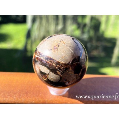 Sphère polie de Septaria de Madagascar aussi nommée pierre du dragon en raison de son aspect écailleux. Pièce unique.