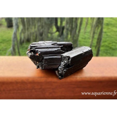 Ancrage et protection avec ce spécimen unique de jumeaux de tourmaline noire biterminée de 7,5 cm de long, pesant 115g.