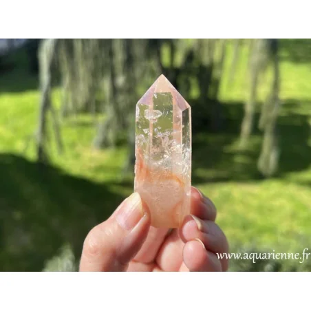 Pointe de quartz à inclusions d'hématite. Une fusion rare de lumière et de minéralité, capturée pour votre exploration.