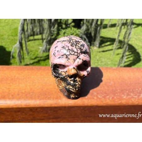 Explorez la dimension féminine de votre être en compagnie de Shalima, le crâne de cristal en rhodonite.