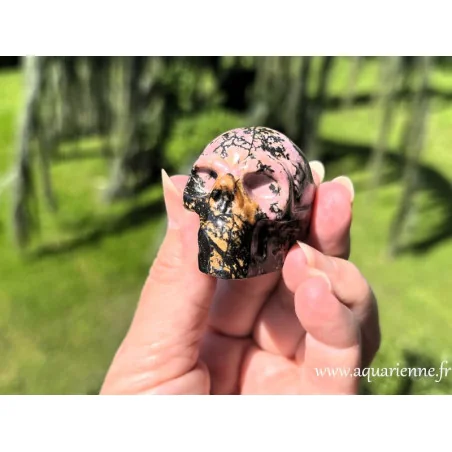 Crâne en rhodonite. Chaque détail de ce crâne de rhodonite est capturé à la lumière naturelle pour une authenticité garantie.