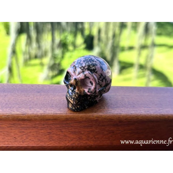 Découvrez l'énergie apaisante et protectrice de la Rhodonite avec ce crâne de cristal. Collection, lithothérapie...