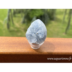Plongez dans la tranquillité avec cette géode de célestite brute de Madagascar, en forme d'oeuf de 5cm. Pièce unique.