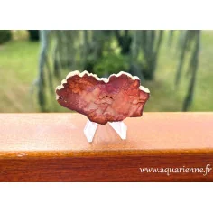 Tranche de bois silicifié de Madagascar avec 1 face repolie et l'autre face brute. Pièce unique à offrir ou à s'offrir.