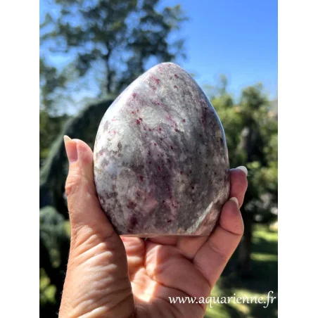 Admirez la beauté vibrante de cette Rubellite de Madagascar. Forme libre à poser. Déco énergétique, lithothérapie, collection