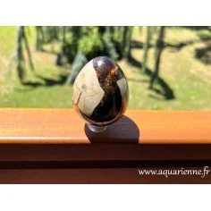 Septaria de Madagascar, œuf poli main : 6,5cm/245g, pièce unique que vous pouvez acheter en ligne dès maintenant.