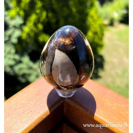 Pierre de Septaria taillée en forme d’œuf de 65 mm aux motifs naturels décoratifs. Idée cadeau à offrir ou à s'offrir.
