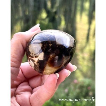 Oeuf en Septaria - 6,5cm - Karma - Transgénérationnel ≡ aquarienne.fr