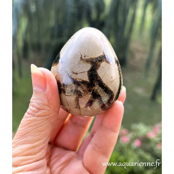 Septaria de Madagascar taillée et polie à la main en forme d'oeuf. Le septaria aide à se libérer des mémoires karmiques.