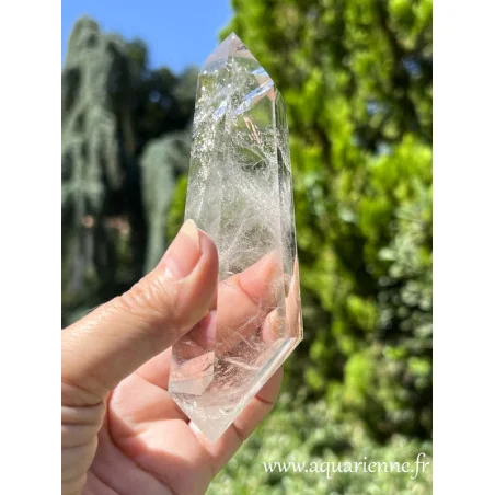 Admirez les fantômes et inclusions de ce quartz biterminé, tout un monde intérieur qui invite à l'introspection. Pièce unique.