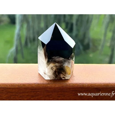 Protégez-vous des énergies indésirables avec ce Quartz Morion de Madagascar, pointe de 73 mm de haut. Pièce unique.