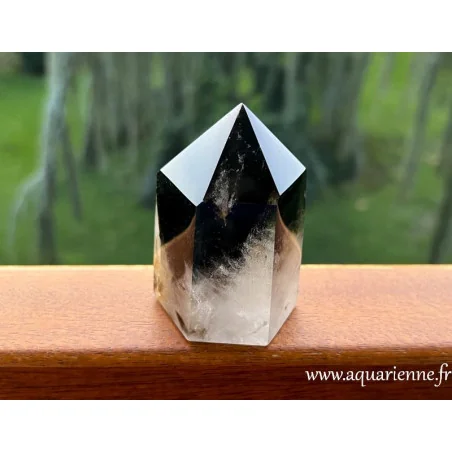 Cette pointe Quartz Morion blanche et noire, offre une connexion à la terre et une clarté mentale fortes.