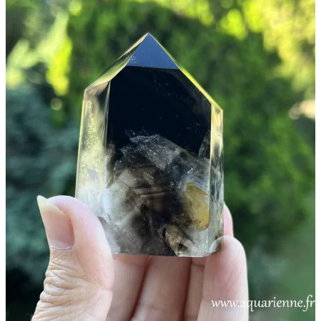 Avec ces contrastes de noir et blanc et ses inclusions, ce prisme de quartz fantôme morion favorise ancrage et clarté mentale.