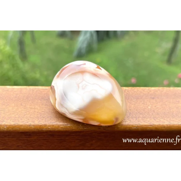 Ce galet d'Agate fleur de Madagascar, pièce unique de 154g et 6,5 cm, incarne la magie de la terre façonnée au fil du temps.