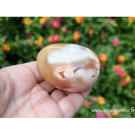 Pièce unique aux motifs naturels, ce galet d'agate fleur invite à l'harmonie et à la sérénité.