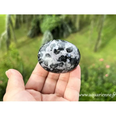 Galet poli de Gabbro Indigo ou Merlinite Mystique de Madagascar, pièce unique de qualité élevée (A+). Pièce unique.