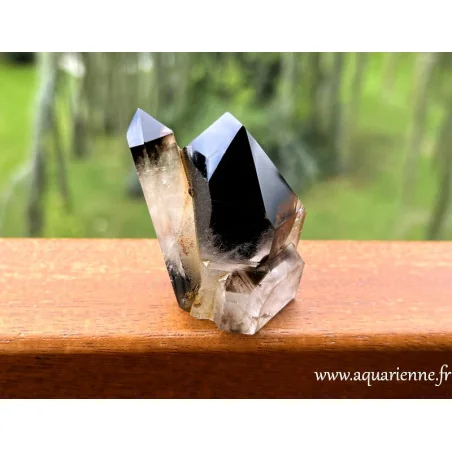Protégez-vous des énergies indésirables avec ce Quartz Morion jumeau de Madagascar. Pièce unique.