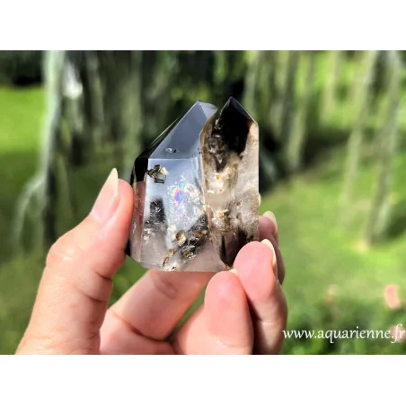Jumeaux de Quartz Morion avec arc-en-ciel - Enracinement · Protection