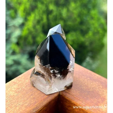 Jumeaux de Quartz Morion avec arc-en-ciel - Enracinement · Protection