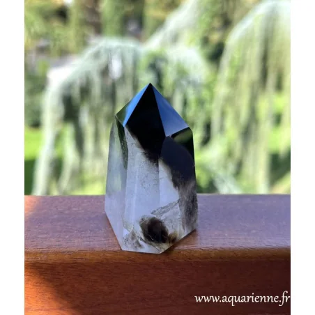Protégez-vous des énergies indésirables avec ce Quartz Morion de Madagascar, pointe de 58 mm de haut. Pièce unique.