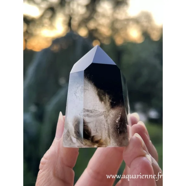 Chaque détail de cette pointe quartz à fantôme morion raconte une histoire. Prisme quartz morion à offrir ou à s'offrir.