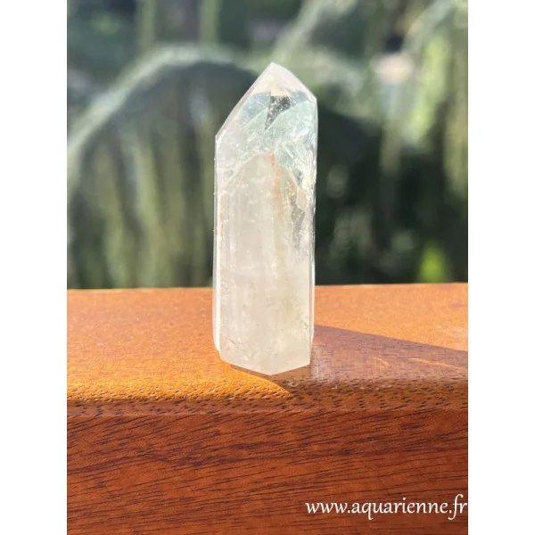 Jumeaux de Quartz Fuchsite - Prisme brut 5cm|38g - Renouveau
