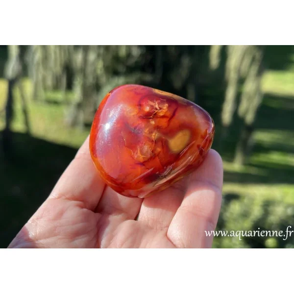 Cornaline, galet de 6 cm pesant 121 g. Pierre avec de jolis motifs dont seule la nature a le secret. Poli main.
