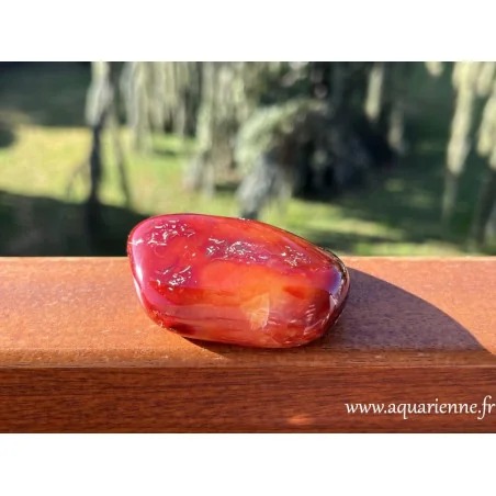 Cornaline, de 7 cm pesant 110g. Pierre avec inclusions formant de jolis motifs dont seule la nature a le secret. Poli main.