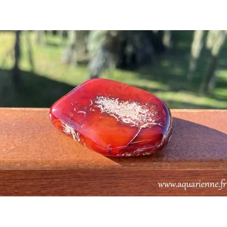 Courage, vitalité, créativité, succès avec la pierre de cornaline. Galet de Cornaline poli main : 60 mm - 110 g. Pièce unique