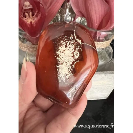 Photo prise en intérieure en gros plan pour admirer les inclusions naturelles formant de jolis motifs sur ce galet de cornaline.