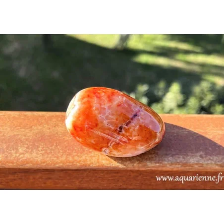 Vitalité, courage, créativité, succès avec la pierre de cornaline. Galet de Cornaline poli main : 65mm - 154 g. Pièce unique