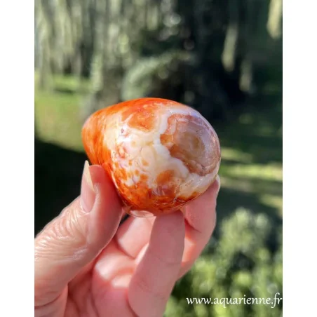 Zoom sur les jolis motifs uniques créés par la nature sur ce galet de Cornaline de Madagascar poli main. Pièce unique.