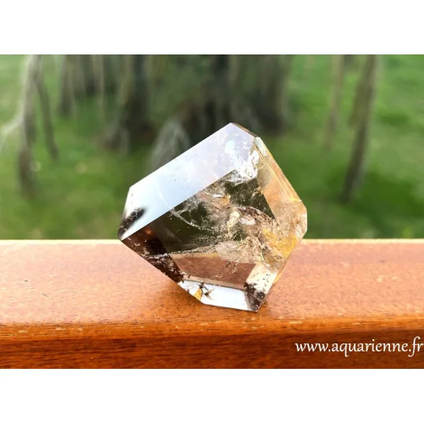 Neutralisez les énergies négatives et expérimentez la puissante protection de cette pointe de quartz fumé dès maintenant.