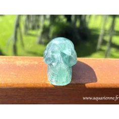 Découvrez Genius, un crâne de cristal en Fluorite verte : 46 mm – 100 g, guide spirituel et gardien vibratoire.